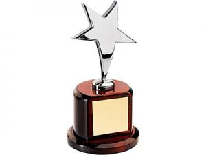 Награда «Звезда» на постаменте ― Интернет Магазин Дворец Подарков